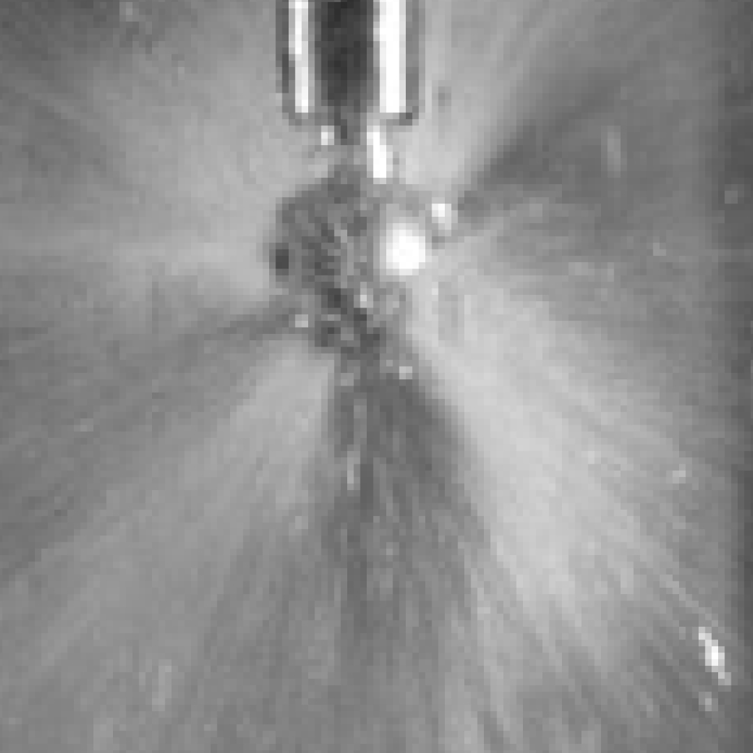 Hans Laboris - Co-Founder & CEO